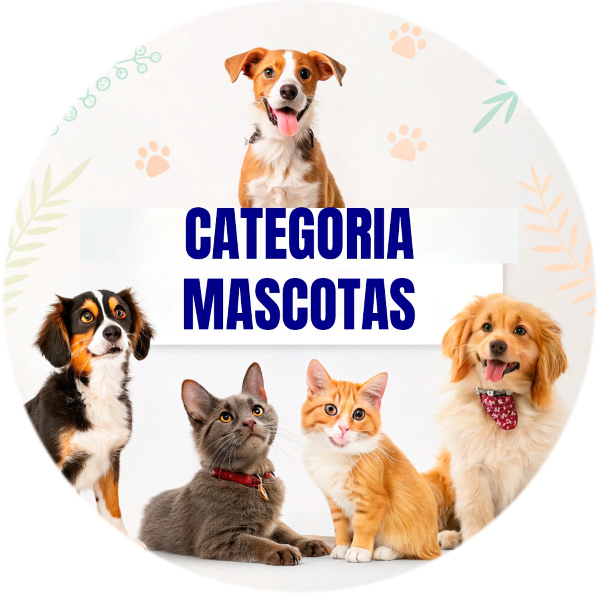 Mascotas